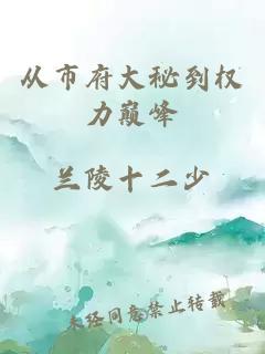 從市府大秘到權(quán)力巔峰