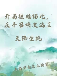 開局被騙緬北，反手召喚艾達王