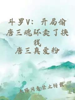 斗羅V：開(kāi)局偷唐三魂環(huán)賣(mài)了換錢(qián)