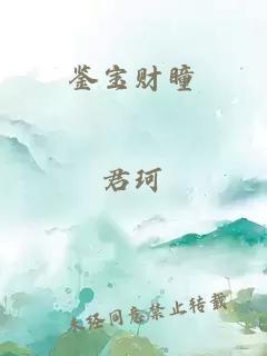 鑒寶財瞳