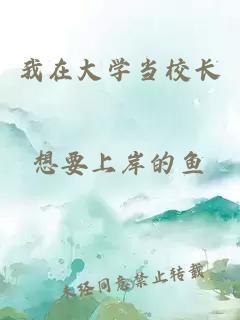 我在大學(xué)當(dāng)校長(zhǎng)