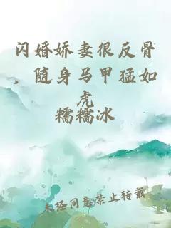 閃婚嬌妻很反骨，隨身馬甲猛如虎