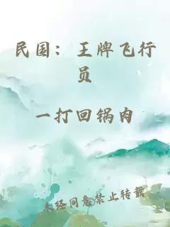 民國：王牌飛行員