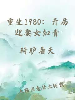 重生1980：開局迎娶女知青