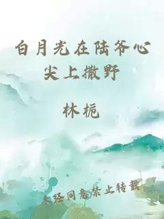 白月光在陸爺心尖上撒野