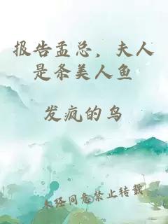 報(bào)告孟總，夫人是條美人魚