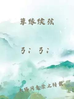 孽緣續(xù)弦