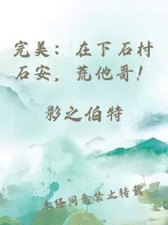 完美：在下石村石安，荒他哥！