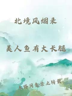 北境風(fēng)煙錄