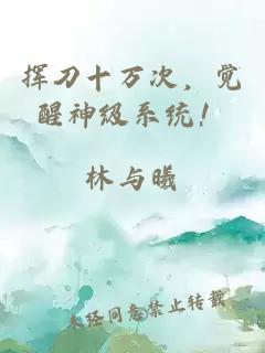 揮刀十萬次，覺醒神級系統(tǒng)！