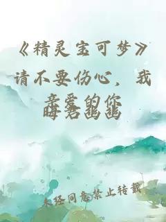 《精靈寶可夢》請不要傷心，我親愛的你