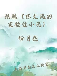祛魅（練文風(fēng)的實(shí)驗(yàn)性小說）