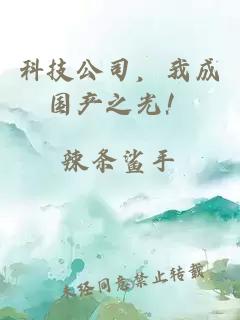 科技公司，我成國產(chǎn)之光！