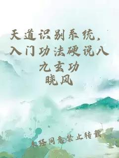 天道識(shí)別系統(tǒng)，入門(mén)功法硬說(shuō)八九玄功