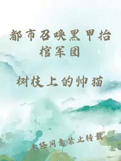 都市召喚黑甲抬棺軍團(tuán)