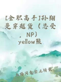 [全職高手]孫翔是穿越貨（總受，NP）