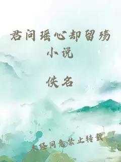 君問瑤心卻留殤小說