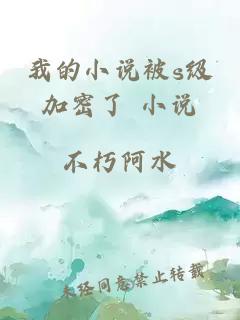我的小說被s級加密了 小說