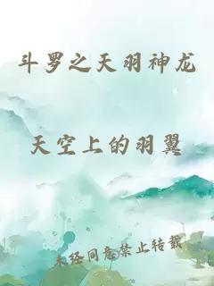 斗羅之天羽神龍