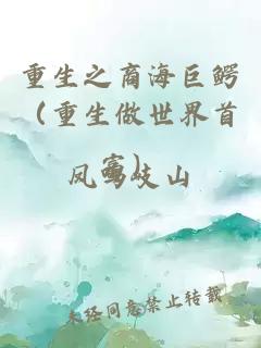 重生之商海巨鱷（重生做世界首富）