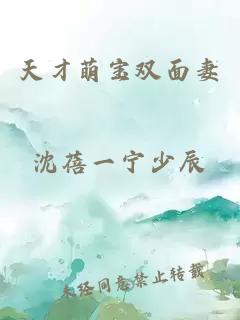 天才萌寶雙面妻