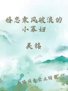 婚戀乘風破浪的小寡婦