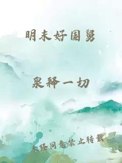明末好國舅