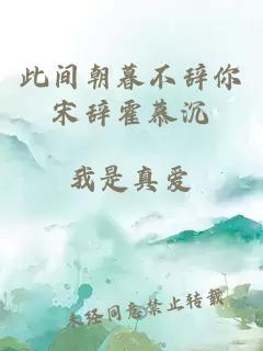 此間朝暮不辭你宋辭霍慕沉