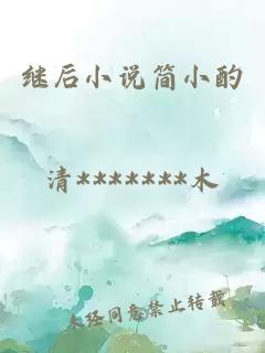 繼后小說簡小酌