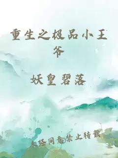 重生之極品小王爺