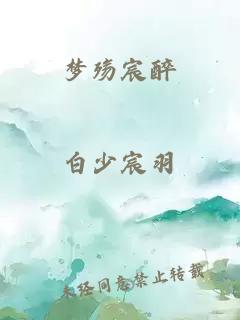 夢(mèng)殤宸醉