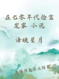 在七零年代撿寶發(fā)家 小說(shuō)