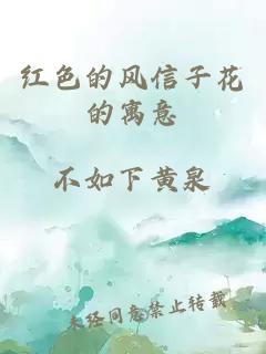 紅色的風信子花的寓意
