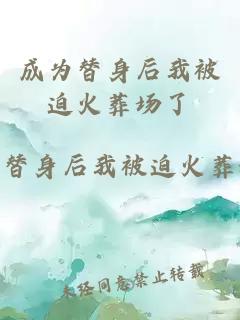 成為替身后我被迫火葬場了