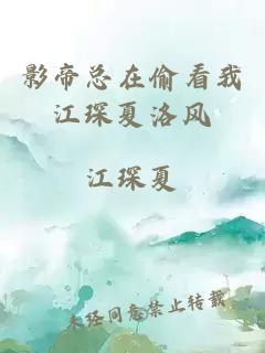 影帝總在偷看我江琛夏洛風(fēng)