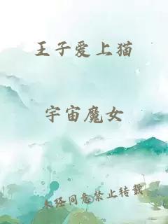 王子愛上貓