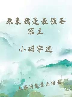 原來我是最強(qiáng)圣宗主