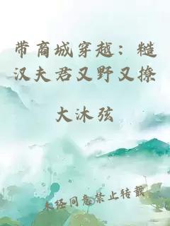 帶商城穿越：糙漢夫君又野又撩
