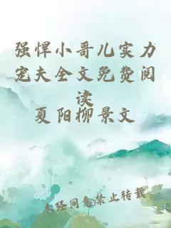 強(qiáng)悍小哥兒實(shí)力寵夫全文免費(fèi)閱讀
