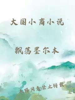 大國小商小說