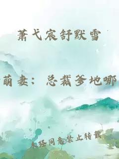蕭弋宸舒默雪
