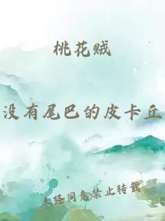 桃花賊