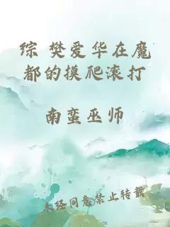 綜 樊愛華在魔都的摸爬滾打