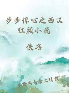 步步驚心之西漢紅顏小說
