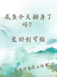 咸魚今天翻身了嗎？