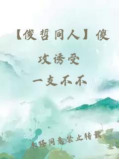 【俊哲同人】傻攻誘受