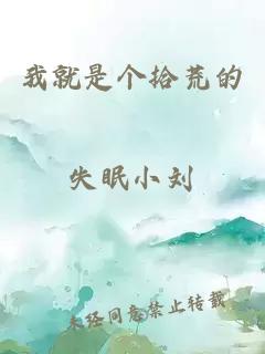 我就是個(gè)拾荒的