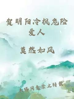 賀明陽冷楓危險愛人