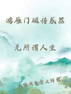 鴻雁門磁傳感器