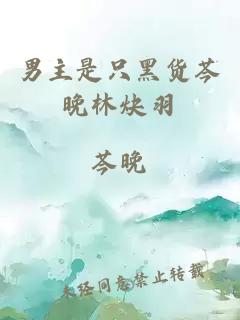 男主是只黑貨芩晚林炔羽